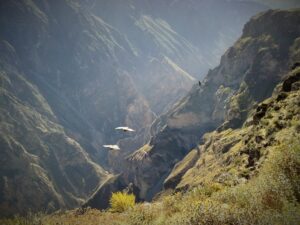 Canyon dei Condor